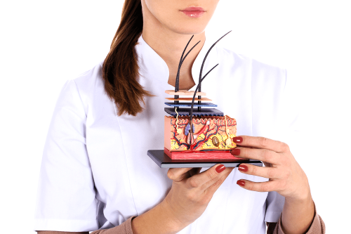 Консультация врача дерматолога-трихолога в городе Борисов медицинский центр Лавита.